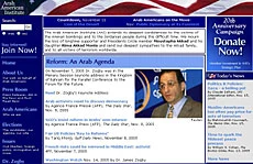 Speaking for the Interests of Arab Americans