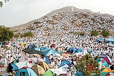 Pilgrims Seek God’s Mercy