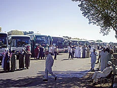 Pilgrims Descend on Prophet’s City