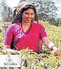 Home of Best Tea in World