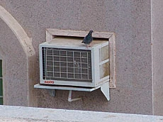 A/Cs Can Be Disease-Spreaders, Warns Jeddah Vet