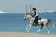 Saudi Female Riders See Action in World Endurance Championship