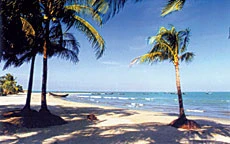 Tourists Choices Abound From Nature to Culture