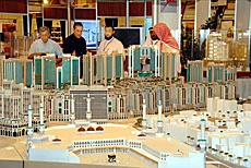 Experts Ponder Sustainable Urban Development