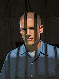 Get the Low Down on Wentworth Miller!