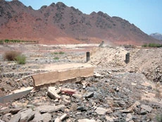Madinah Municipality Criticized for Callous Attitude to Cemeteries