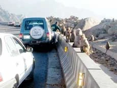 Road Closed, Turn Around, Go Back