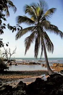 Remote Island Journey Rolls With the Tide