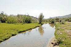 Wadi Al-Lith
