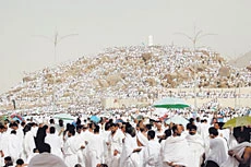 Pilgrims Seek God’s Mercy at Arafat