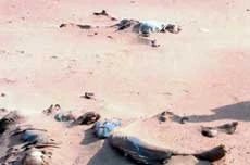 Renya Desert: Migrants’ Graveyard