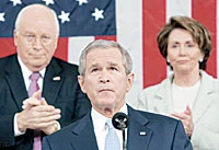 Cool Response to Bush Address