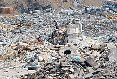 Garbage Jungle: Asir Seeks Way Out