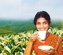 World’s Second Biggest Tea Exporter