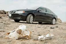 Very Good, Sir: Volvo S80 V8