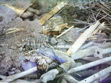 Seven Workers Killed in Yanbu Building Collapse