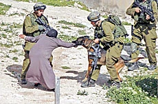 ‘Yusra to Be Blamed Not the Dog’