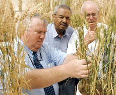 High-Saline Irrigation Water Agriculture a Breakthrough?