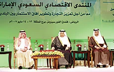 Foreign Investments Rise 25%: Yamani