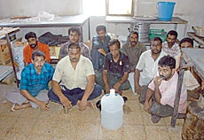 Overstayers Turn Animal Farm Into Sweet Factory