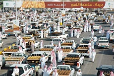 Buraidah Dates Market Expects SR2bn Sales