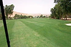 Saudi Golf Going, Going… Great!