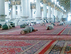 Visitors Abuse 24/7 Rule at Prophet’s Mosque