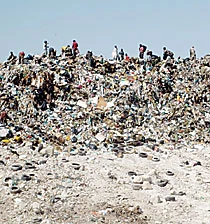 Relocation of Jeddah Dump Raises Fears of Unemployment Among Trash Pickers