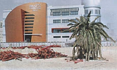 Million Riyal Award to Uproot ‘Possessed’ Date Palm