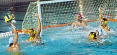 Unfair Rules Force Ittihad Water Polo Team to Quit