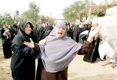Israeli Strikes Kill 3 Palestinians in Gaza