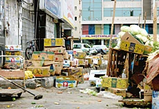 Veggies Bloom in Jeddah Neighborhood