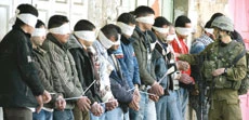 Israel Kills 3 More in Gaza