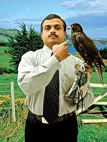 Falcon Expert Warns of H5N1 Threat