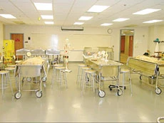 Women Working Among Cadavers Say Job Offers Them Lessons in Life