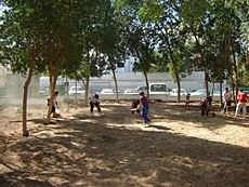 Children Clean Up Garden in Search of Place to Play