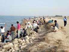 Samsung Employees Clean Seashore in Eastern Province