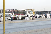 Expats Are the Movers in Al-Sanaiya