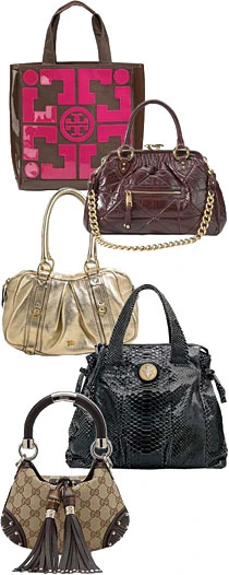 Carry on purse