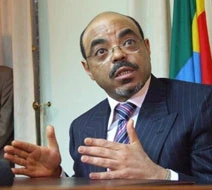 Ethiopia offers huge land for Saudis to grow cereals