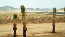 Work begins for key development projects in Jeddah