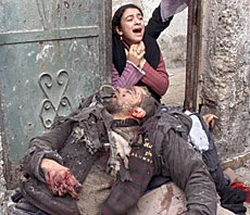 UN halts work after Israeli attack