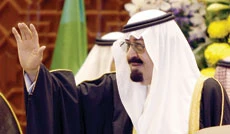 ‘Israel exploiting Arab disunity’