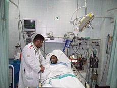 Pesticide strikes in Jeddah again