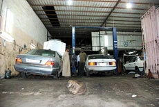 Dog-ged approach to theft problem