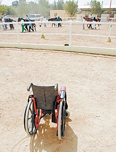 Enough to make a horse laugh