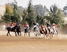 Saudi polo teams challenge Jordan
