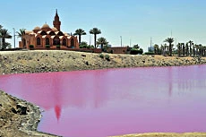 Pink pond in the heart of Jeddah baffles residents