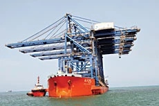 Giant cranes lift Jeddah port stature