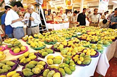 Pakistan Independence Day Supplement: Economic and investment policy